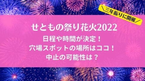 22年最新 愛知県の花火大会の開催情報 全60ヶ所一覧 Topic Sense