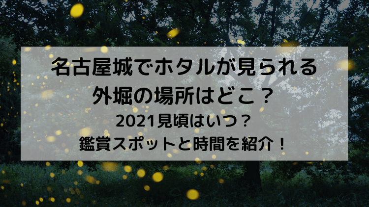 名古屋城でホタルが見られる外堀の場所はどこ 21見頃はいつ 鑑賞スポットと時間を紹介 東海お出かけ情報