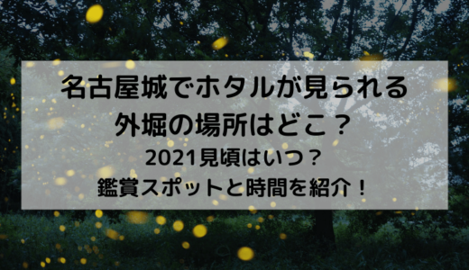 名古屋城でホタルが見られる外堀の場所はどこ？2022見頃はいつ？鑑賞スポットと時間を紹介！